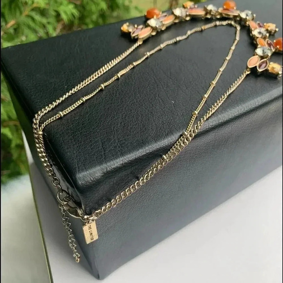 The Limited Multicolored Necklace  - Picture 3 of 8